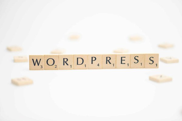 Formation complète WordPress à Nice : Du débutant au professionnel